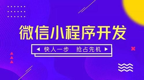 上海小程序制作开发哪家好?上海小程序定制制作公司有哪些? - 瀚林网